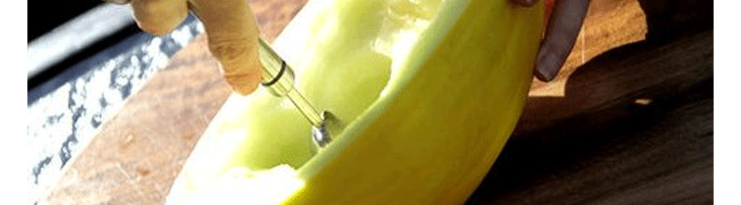 a melon baller being used to scoop out the melon 