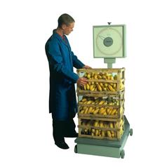 High Capacity Platform Scales Max load: 100kg x 200g